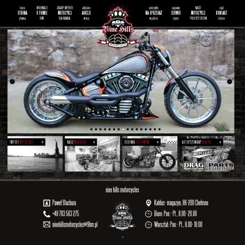 Naprawy modeli Harley Davidson